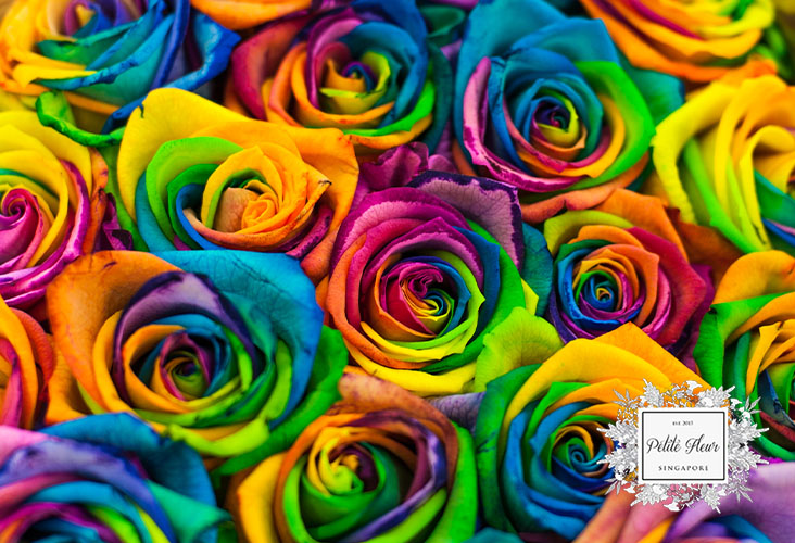  Rainbow rose-online florist singapore